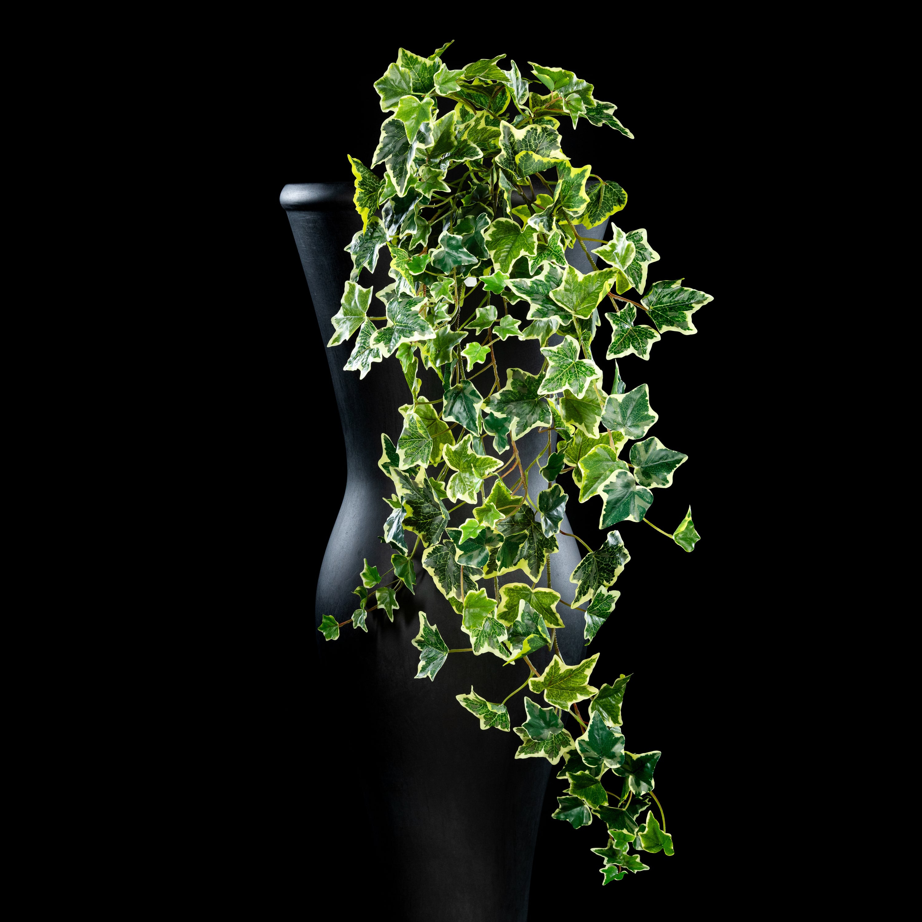 Chute - Hedera
