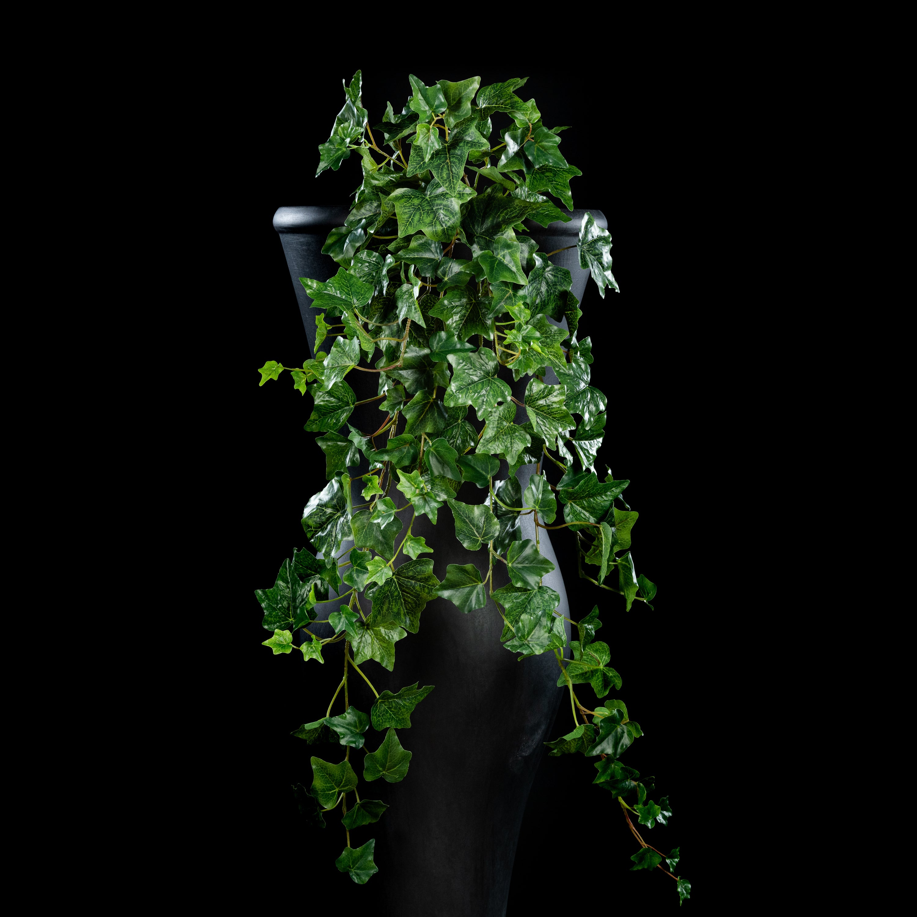 Chute - Hedera