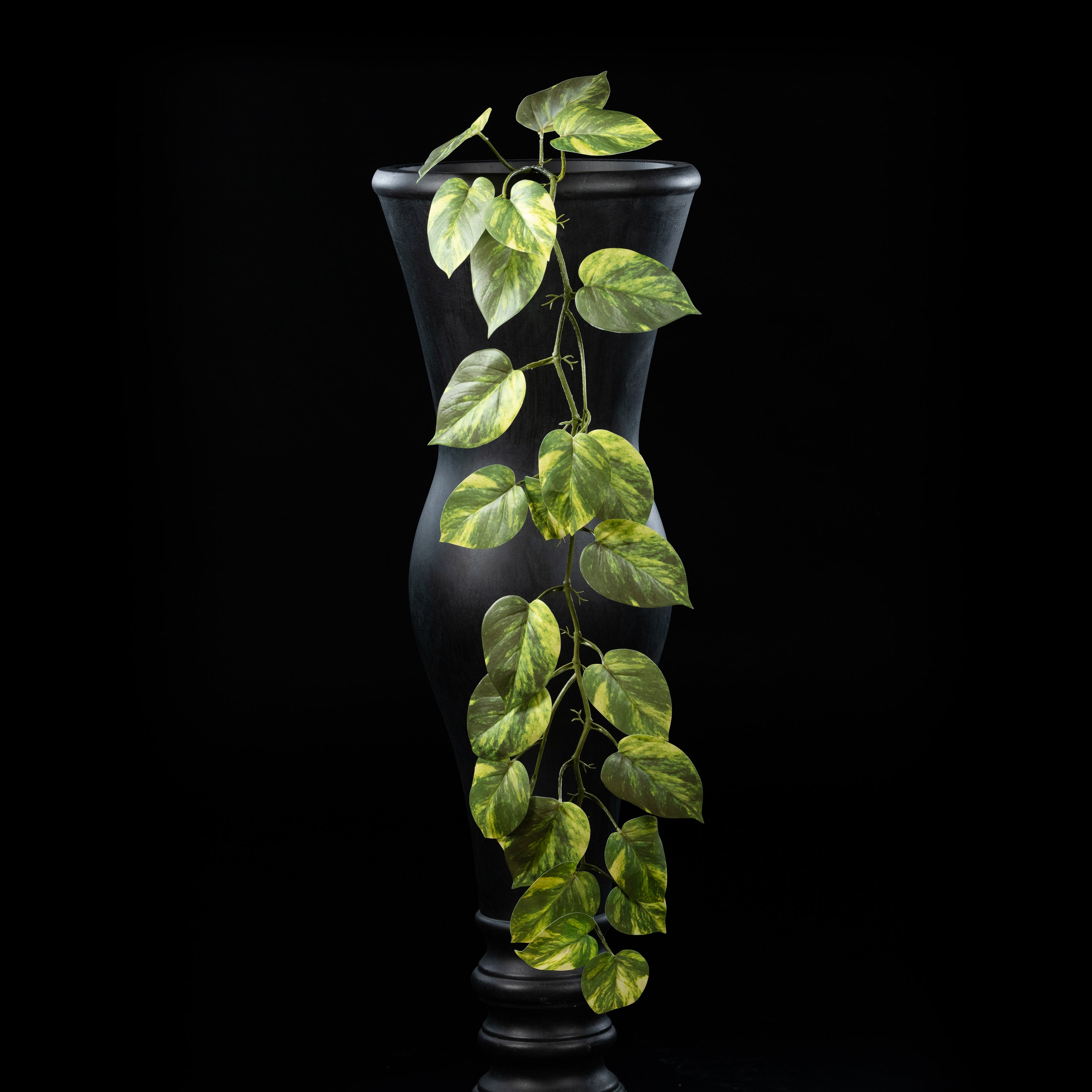 Guirlande - Pothos