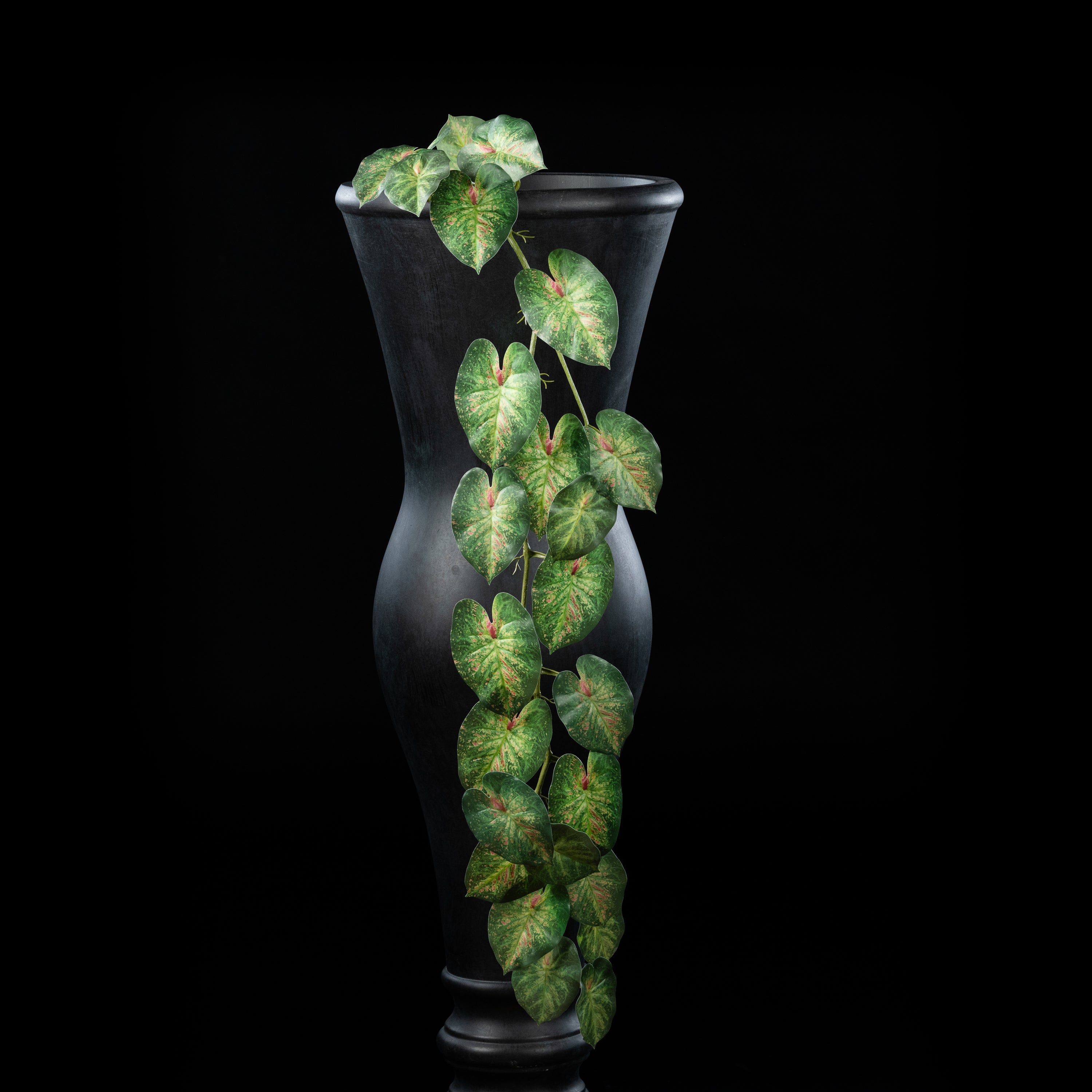 Garland - Caladium