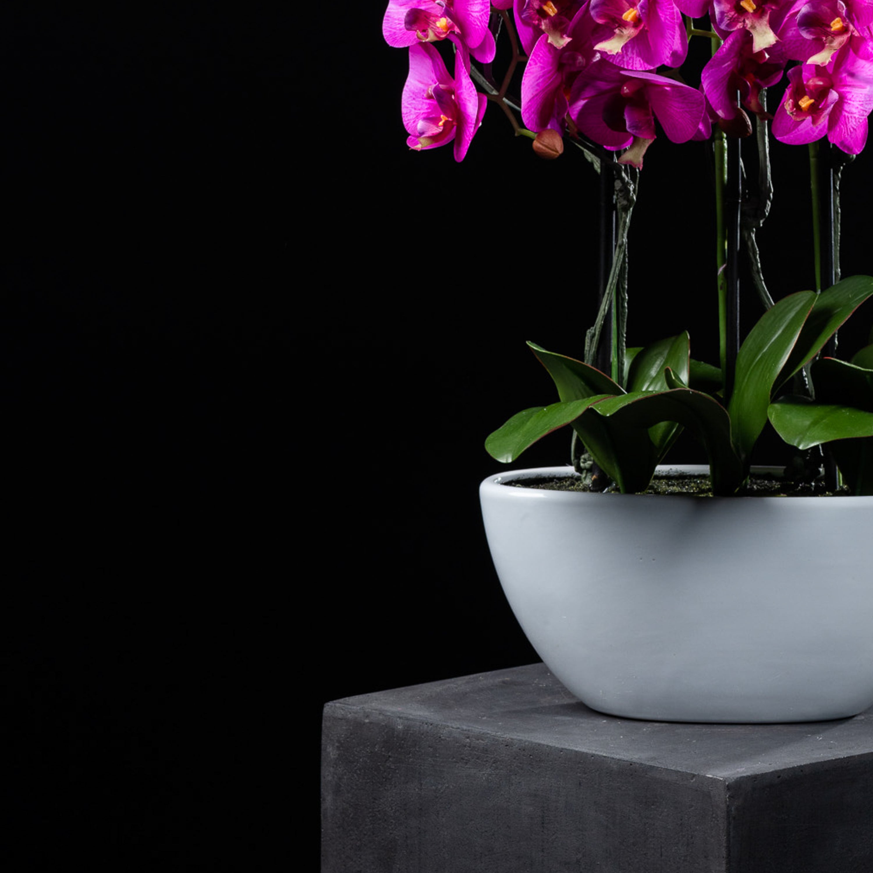 Orchidée artificielle 76 cm — détail fleurs réaliste, sans entretien