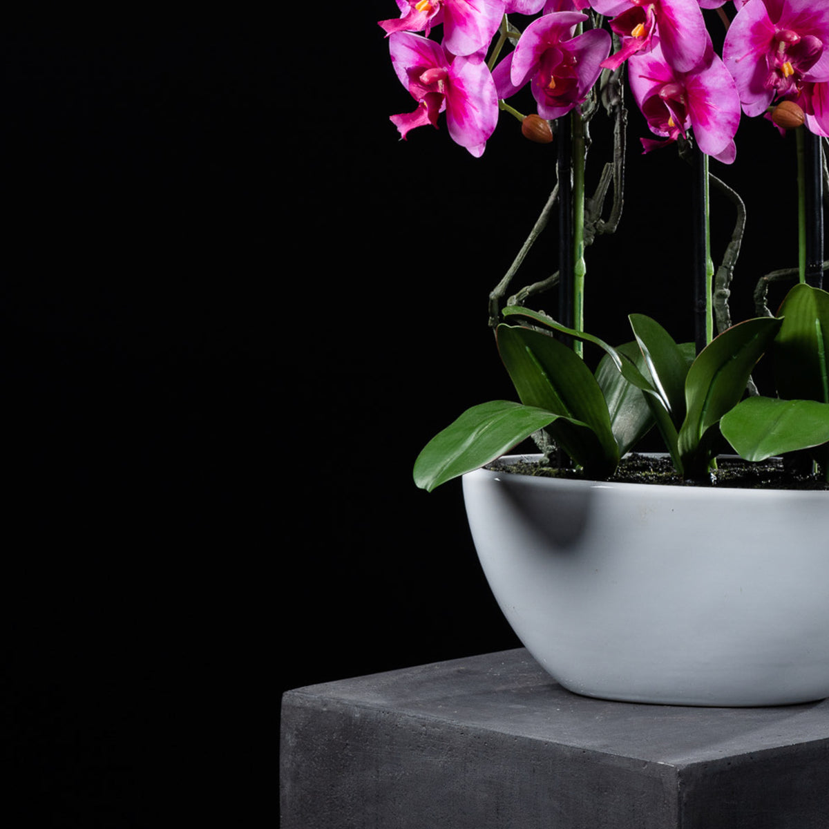 Orchidée artificielle 76 cm — détail fleurs réaliste, sans entretien
