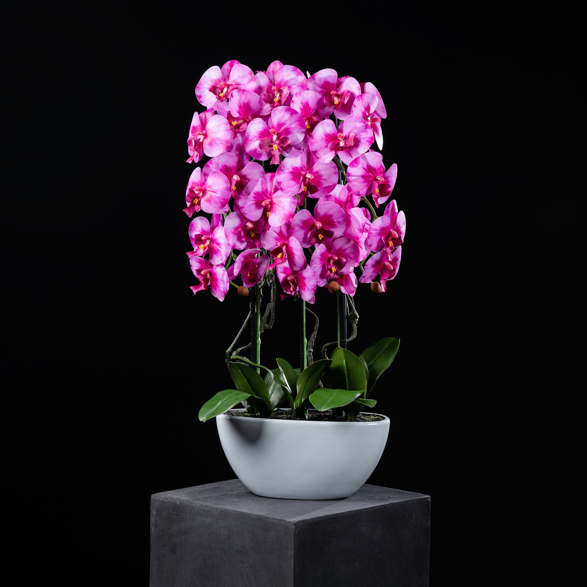 Orchidée artificielle 76 cm Galan GA — déco intérieur réaliste sans entretien