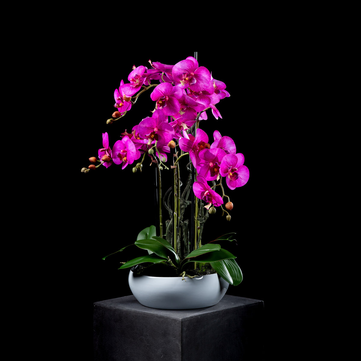 Orchidée artificielle 74 cm Galan GA — déco intérieur réaliste sans entretien