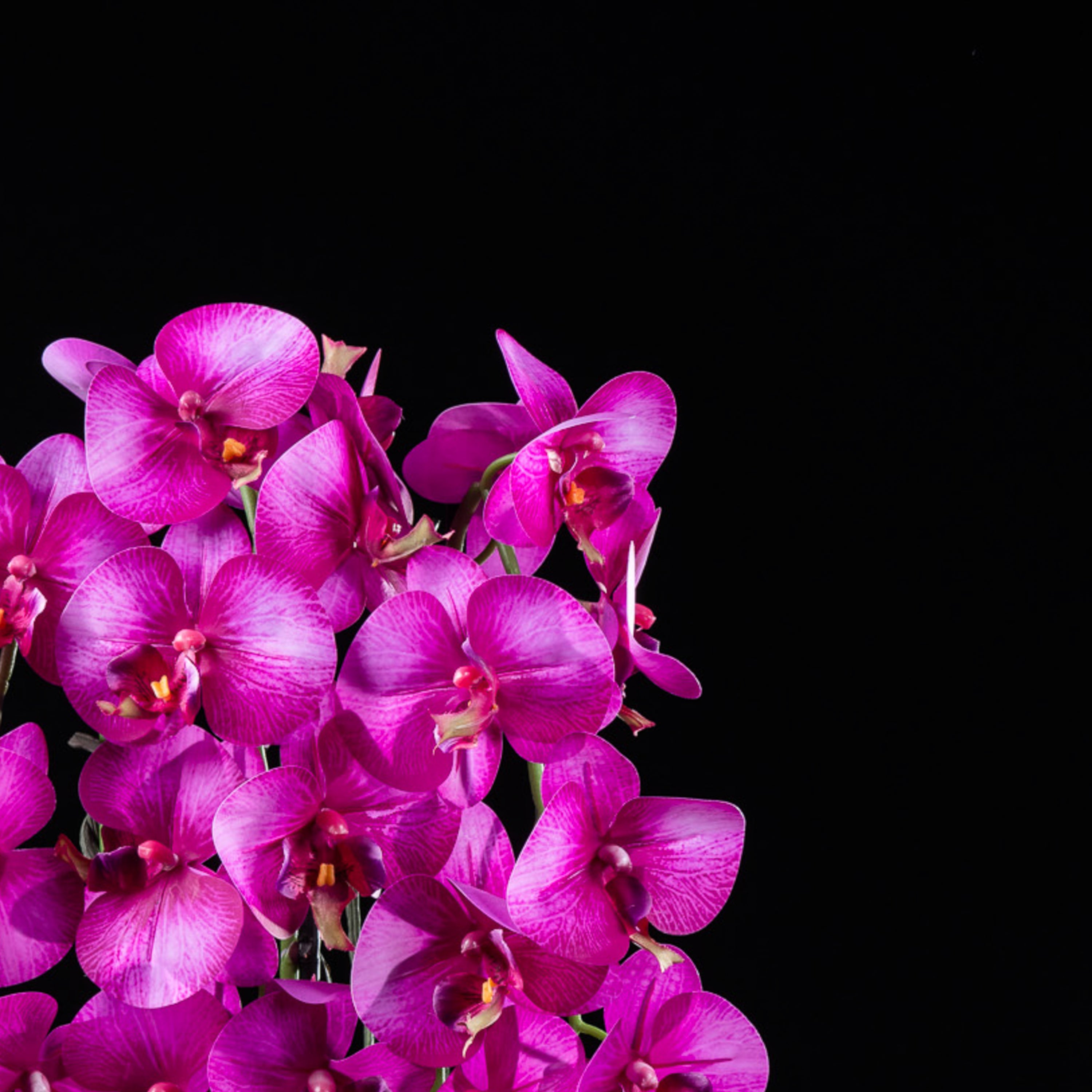 Orchidée artificielle 76 cm — vue alternative, plante d&