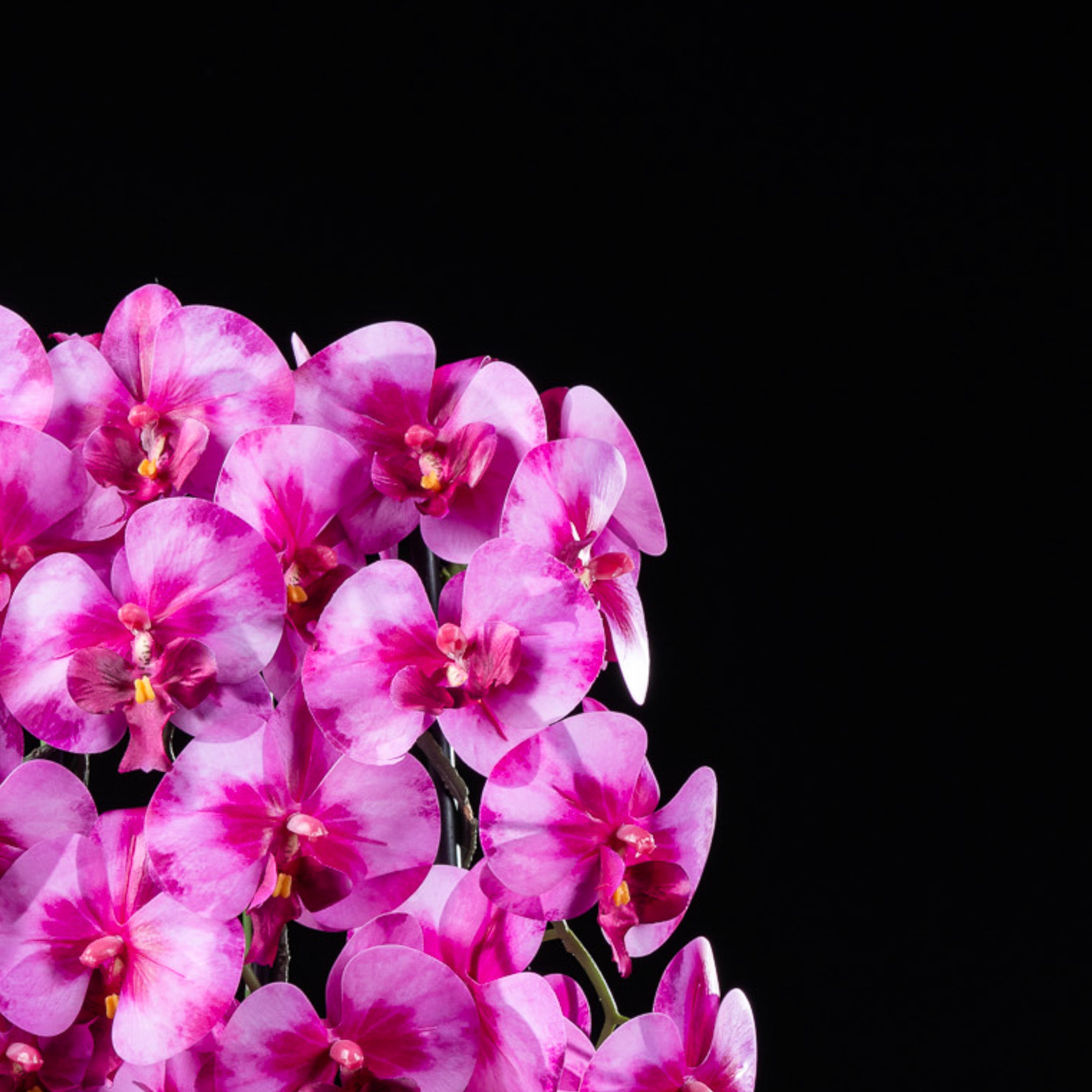 Orchidée artificielle 76 cm — vue alternative, plante d&