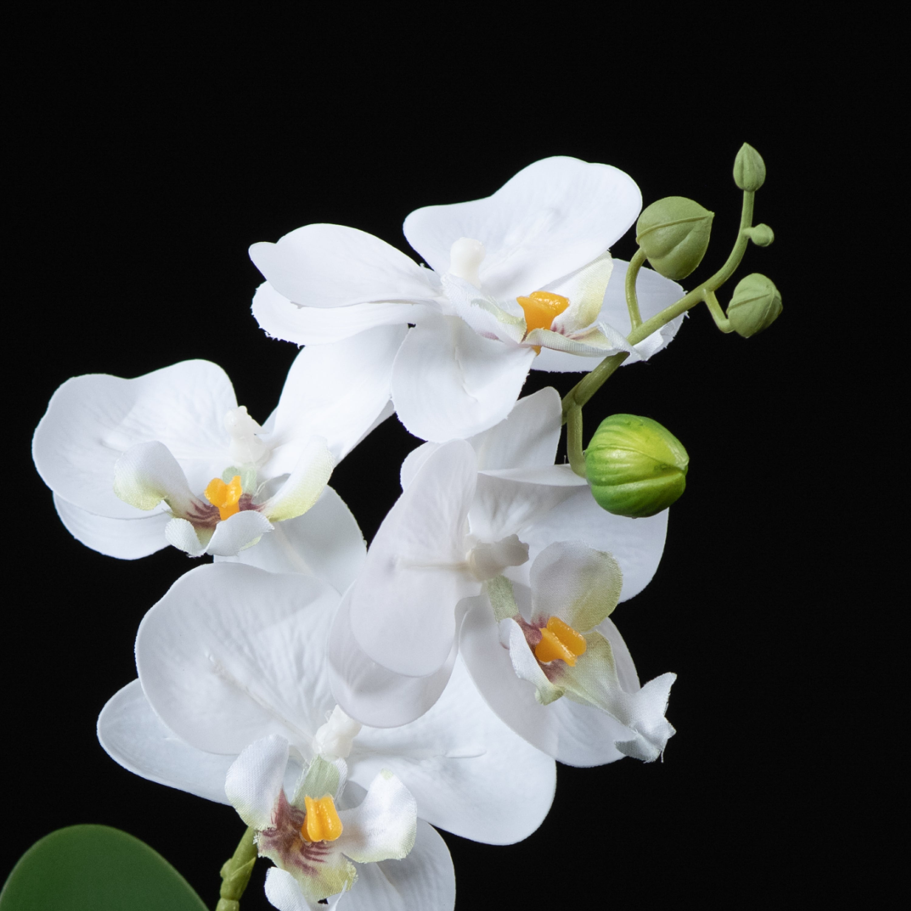 Orchidée artificielle Phalaénopsis Amabilis 26 cm Galan GA — détail fleurs réaliste, sans entretien