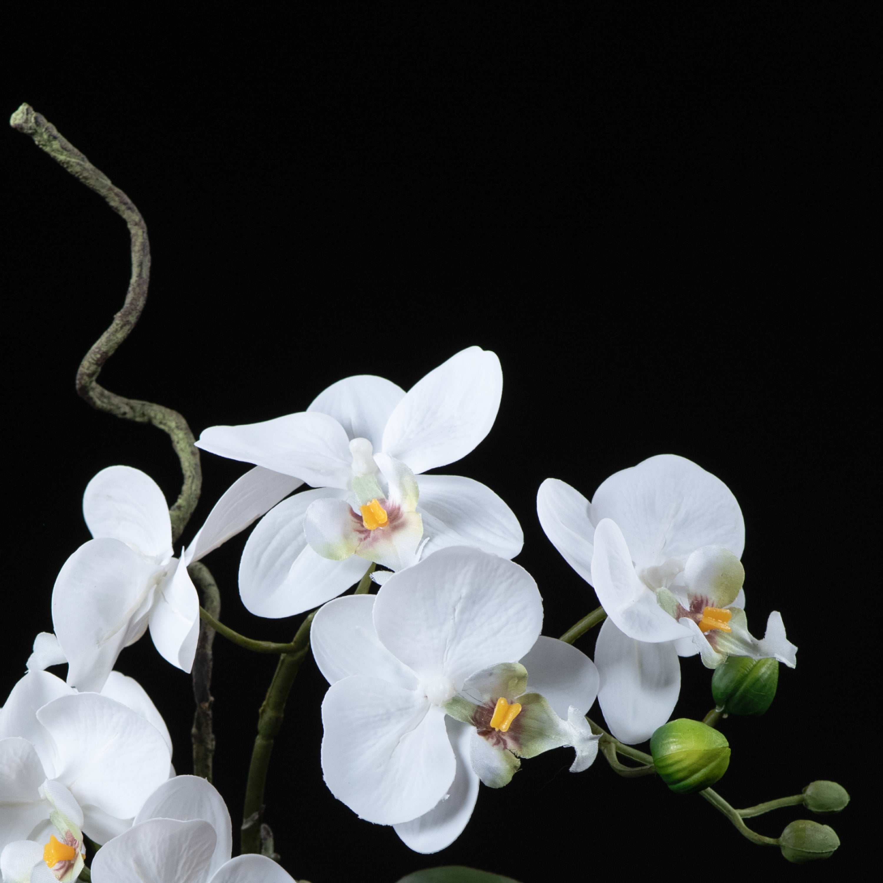 Orchidée artificielle Phalaénopsis Amabilis 34 cm Galan GA — détail fleurs réaliste, sans entretien