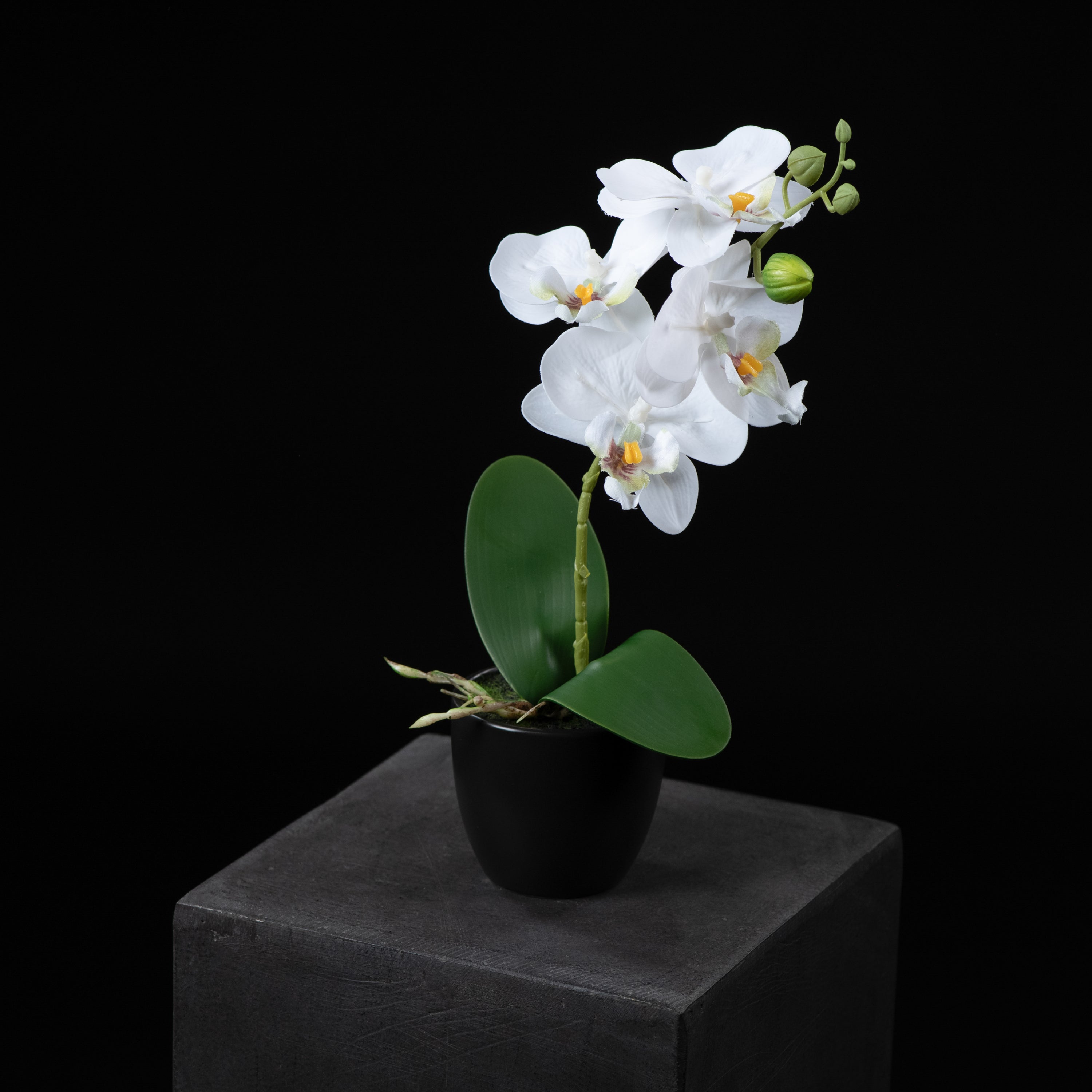 Orchidée artificielle Phalaénopsis Amabilis 26 cm Galan GA — vue alternative, plante d&