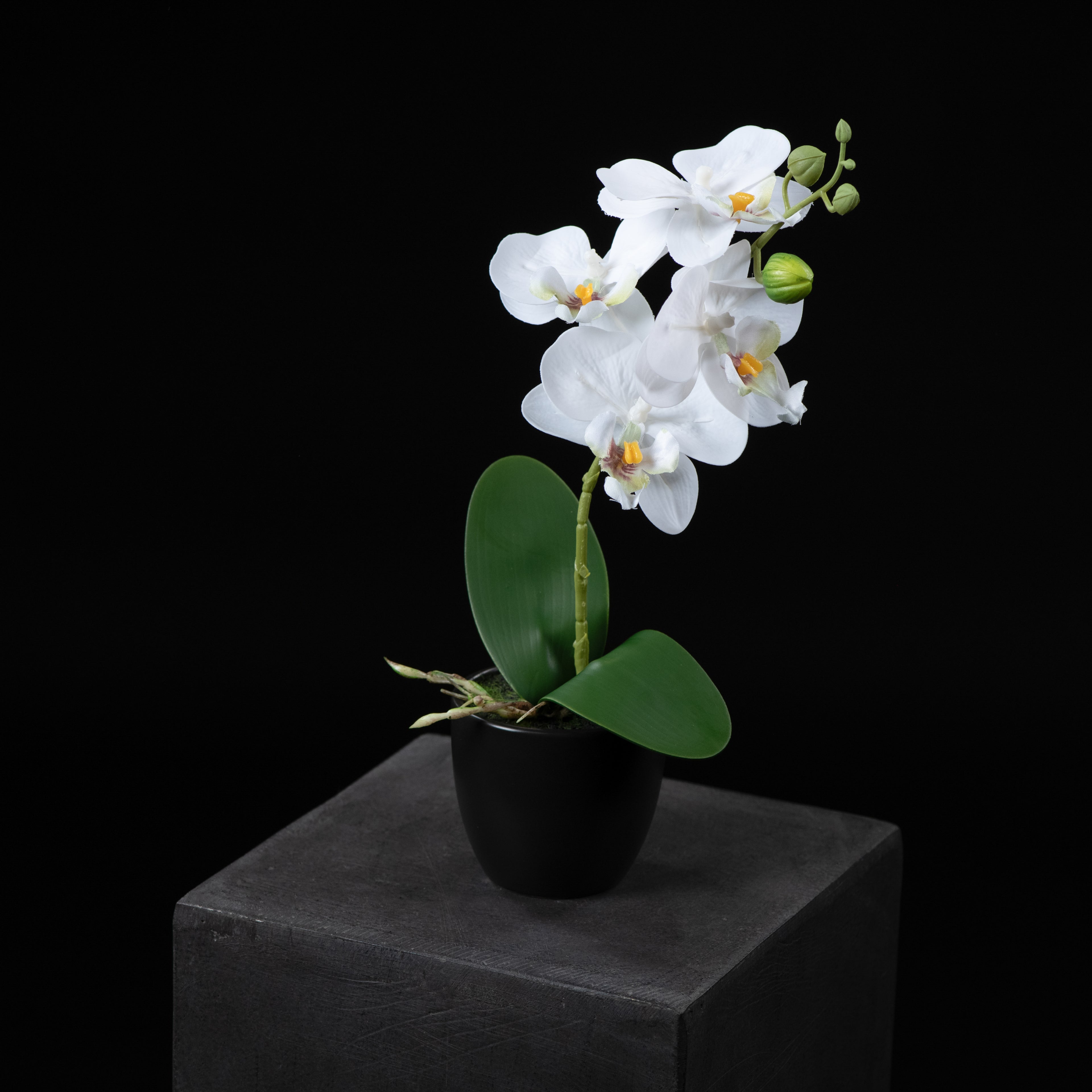 Orchidée artificielle Phalaénopsis Amabilis 26 cm Galan GA — vue alternative, plante d&