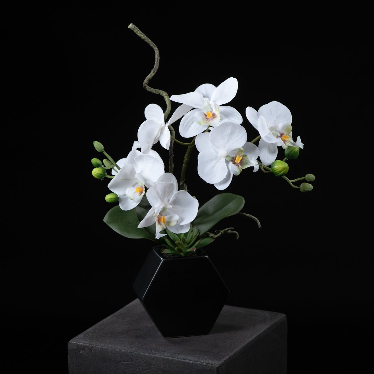 Orchidée artificielle Phalaénopsis Amabilis 34 cm Galan GA — vue alternative, plante d&