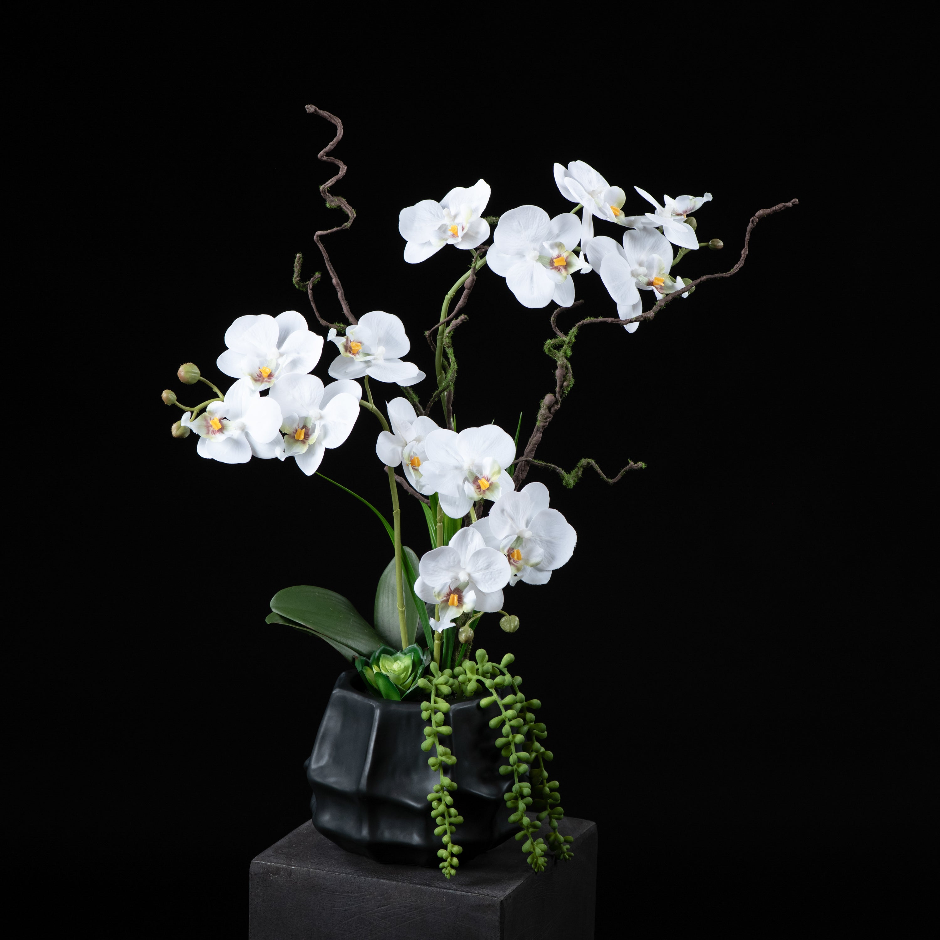 Orchidée artificielle Phalaénopsis Amabilis 55 cm Galan GA — vue alternative, plante d&