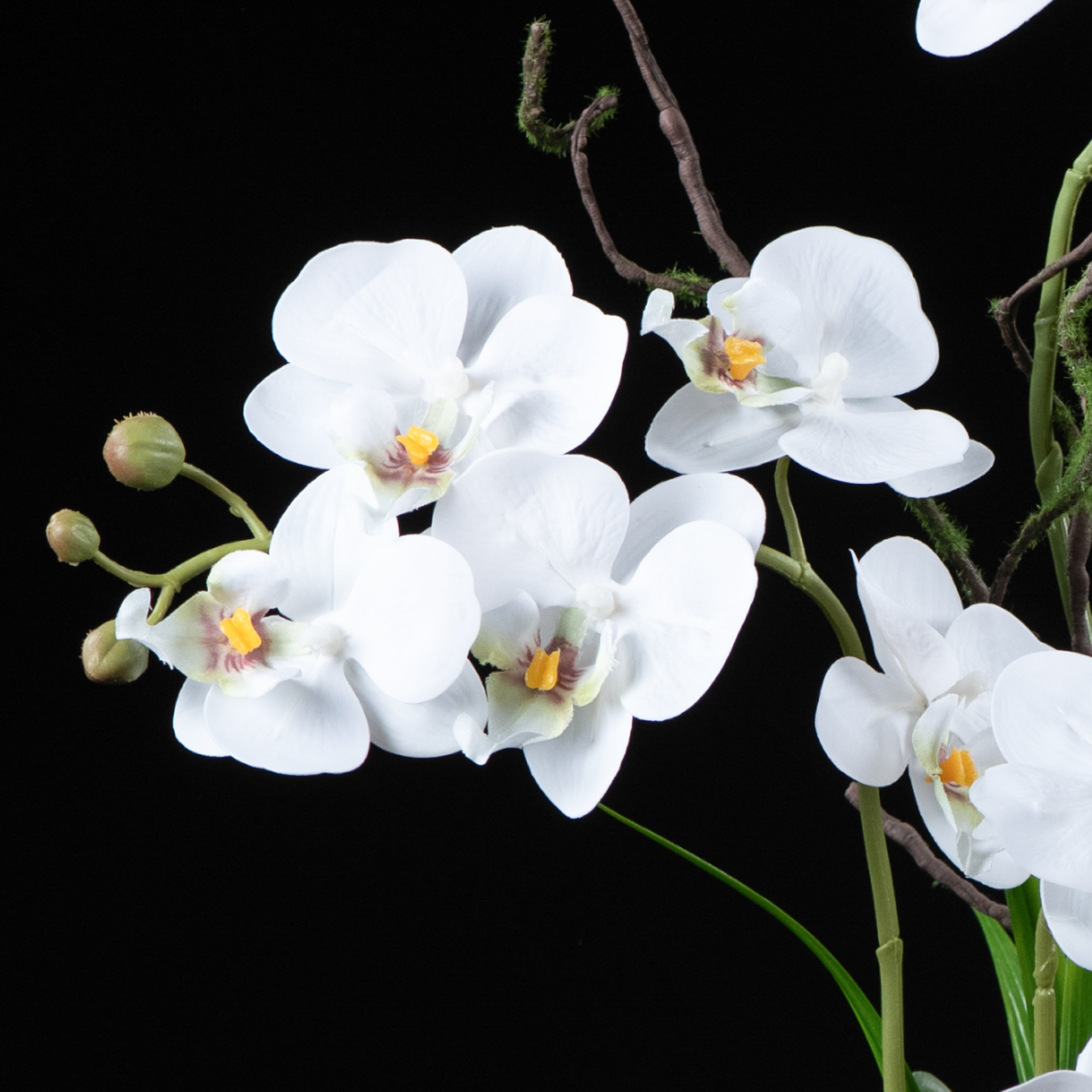 Orchidée artificielle Phalaénopsis Amabilis 55 cm Galan GA — gros plan, qualité premium réaliste