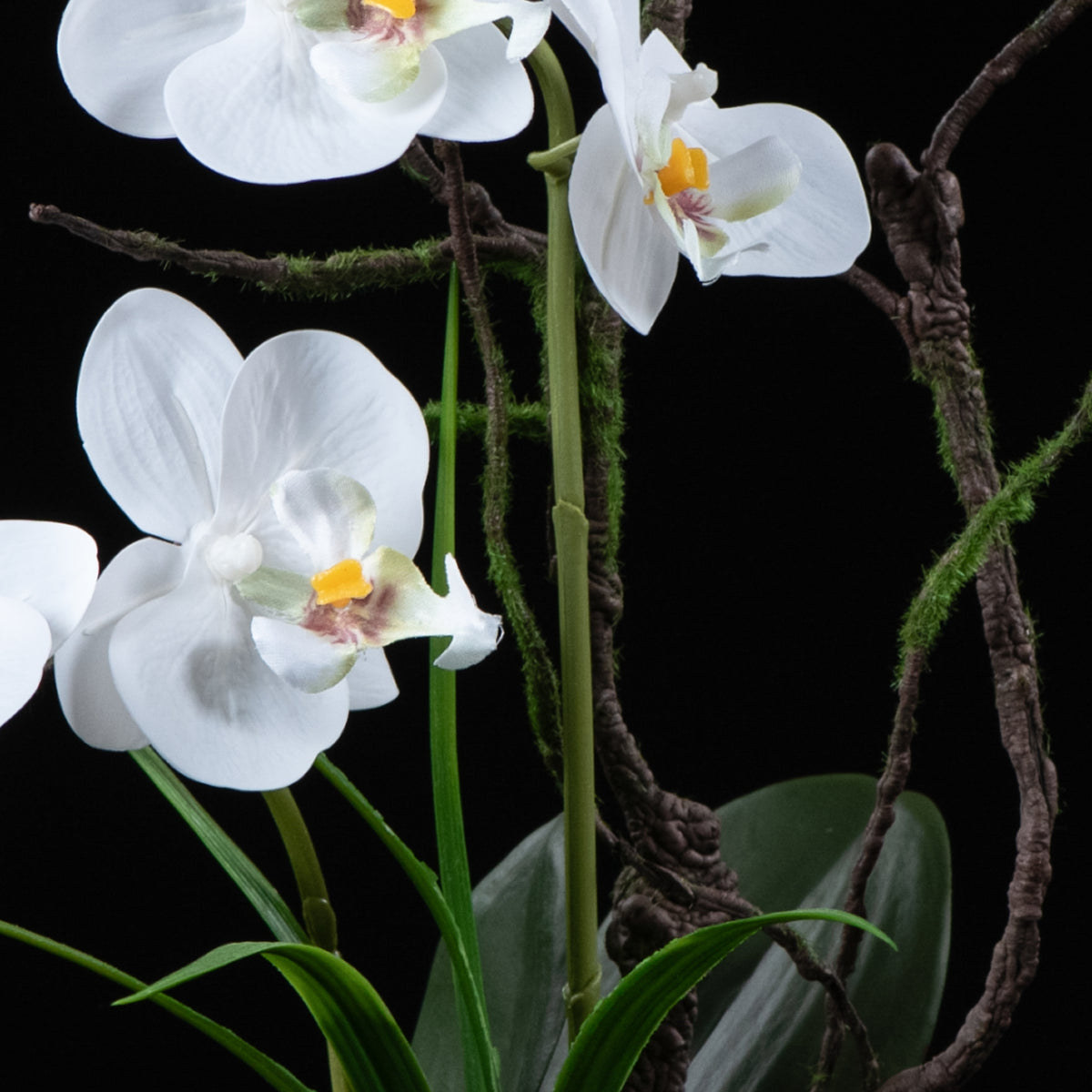Orchidée artificielle Phalaénopsis Amabilis 46 cm Galan GA — gros plan, qualité premium réaliste