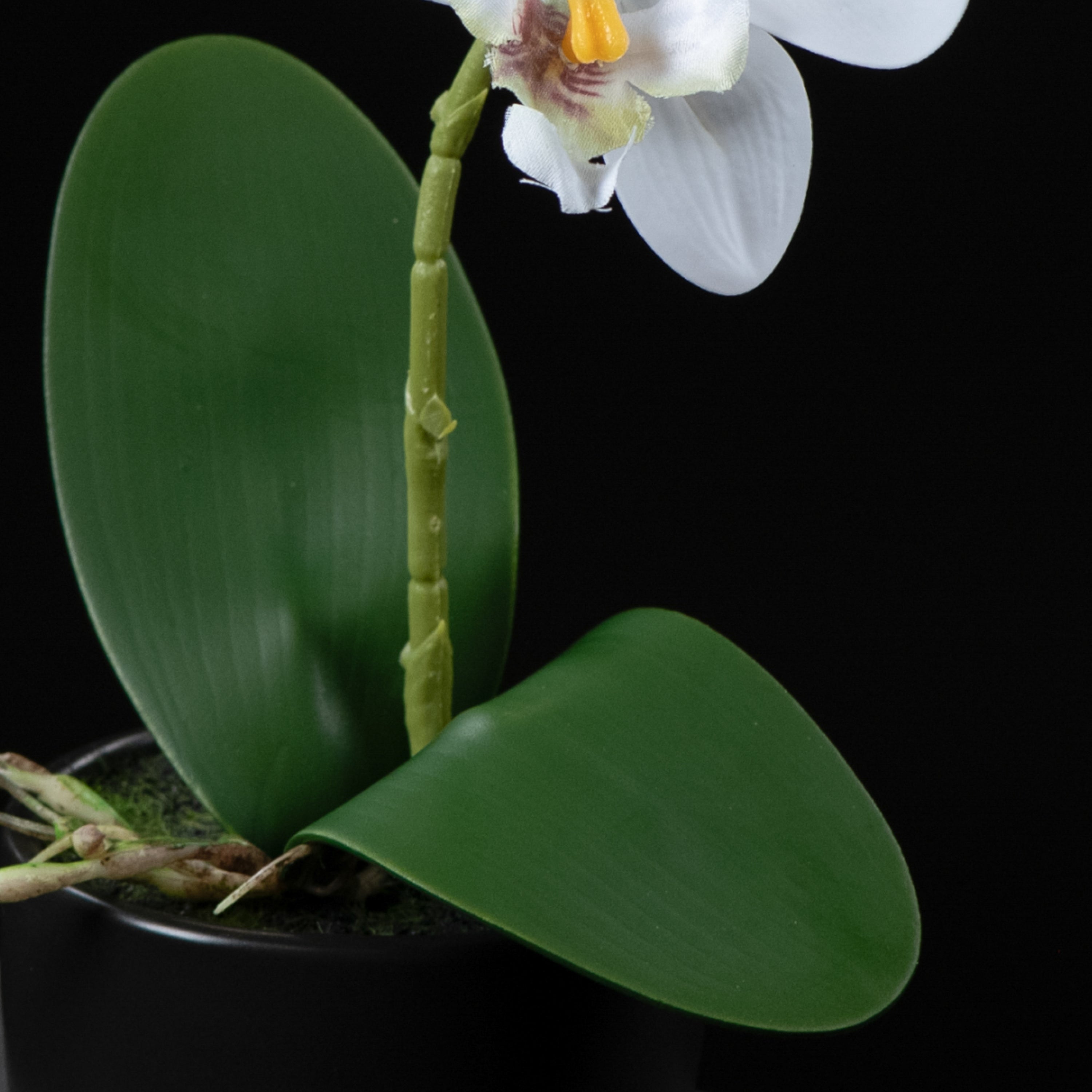 Orchidée artificielle Phalaénopsis Amabilis 26 cm Galan GA — gros plan, qualité premium réaliste