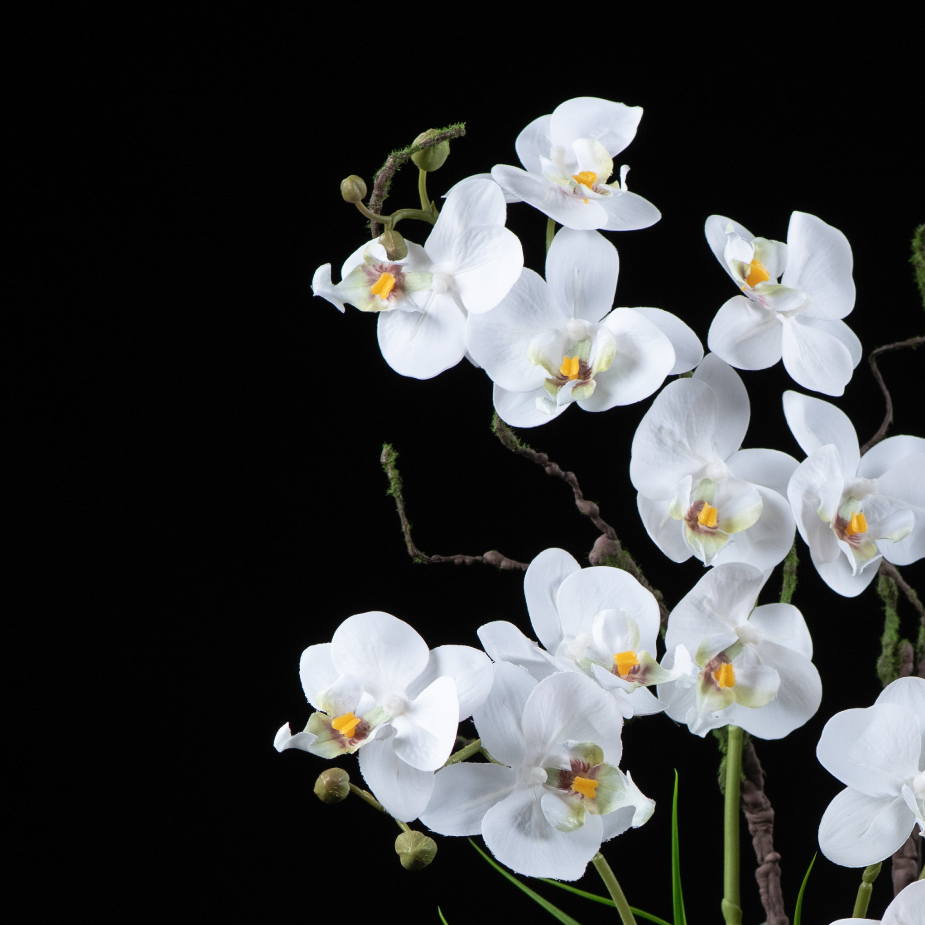 Orchidée artificielle Phalaénopsis Amabilis 57 cm Galan GA — gros plan, qualité premium réaliste