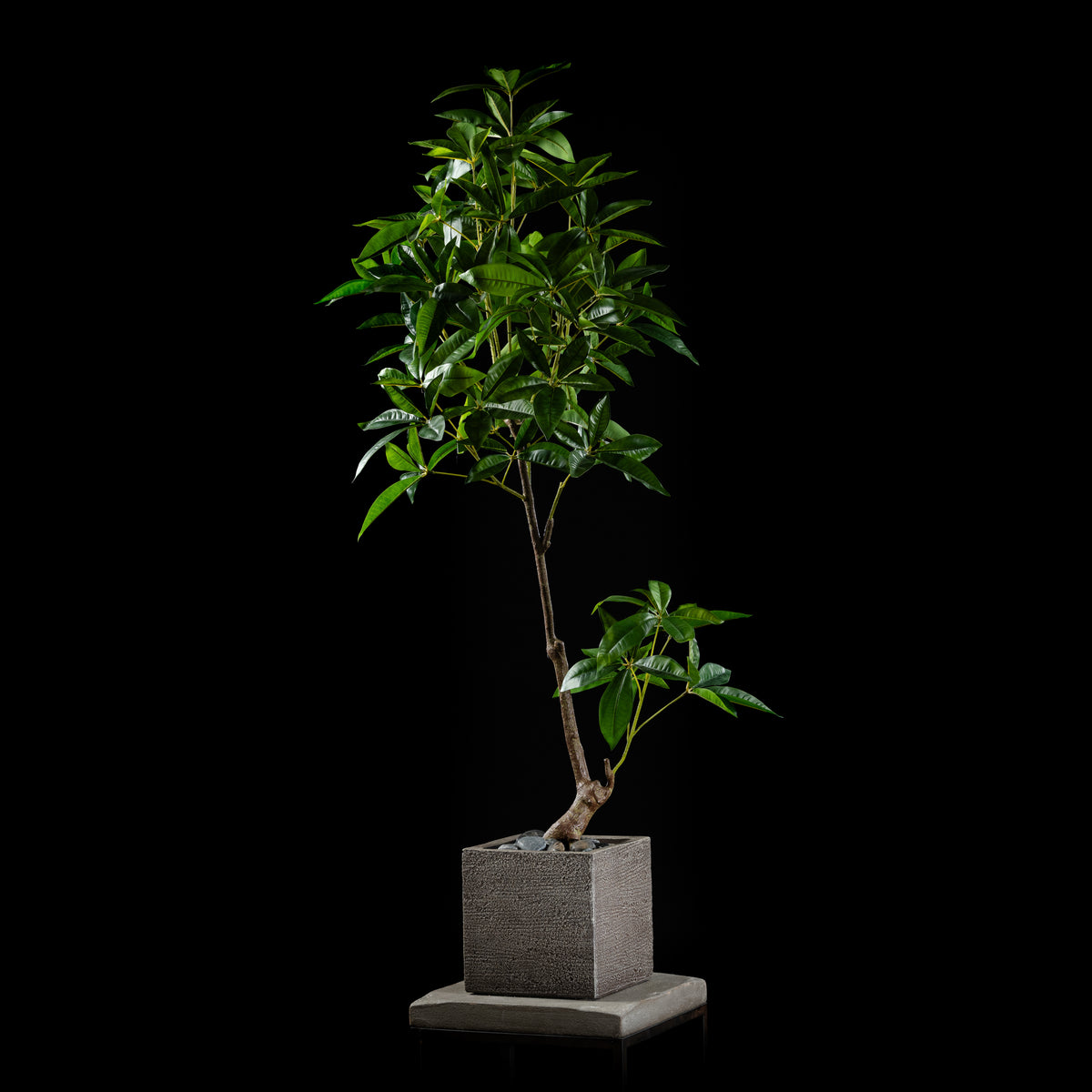 Plante artificielle Pachira Aquatica 150 cm — visuel produit, sans entretien pour intérieur