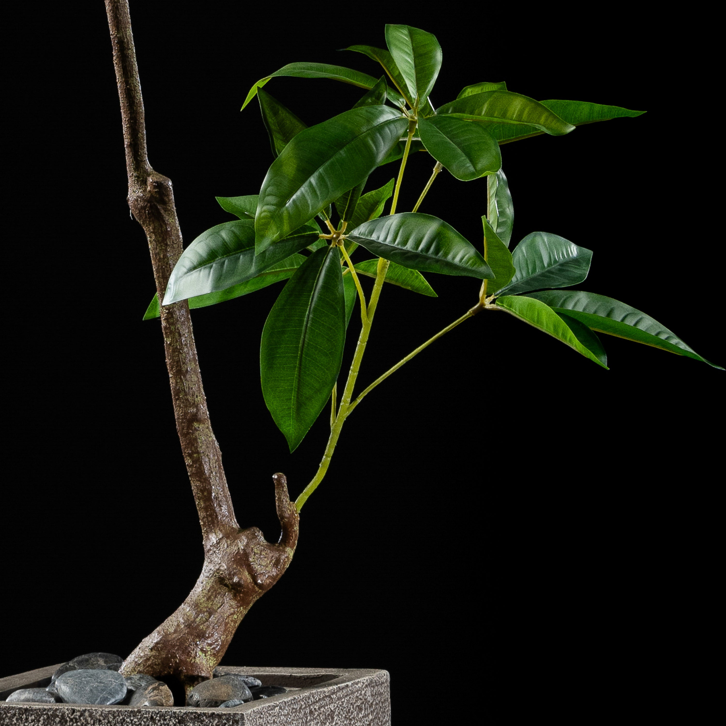 Plante artificielle Pachira Aquatica 150 cm — gros plan, qualité premium réaliste