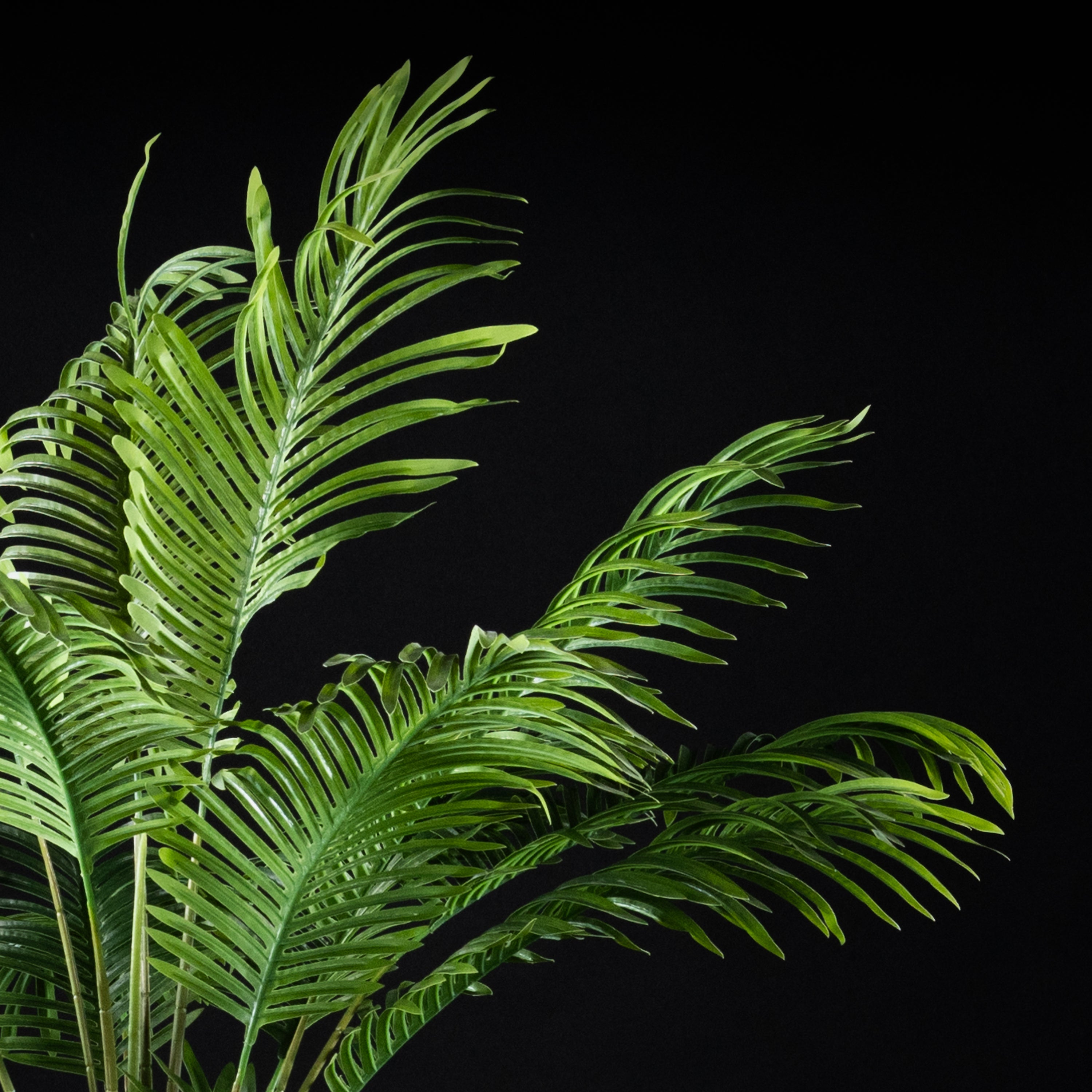Palmier artificiel Adonidia Merrillii 210 cm Galan GA — déco intérieur réaliste sans entretien