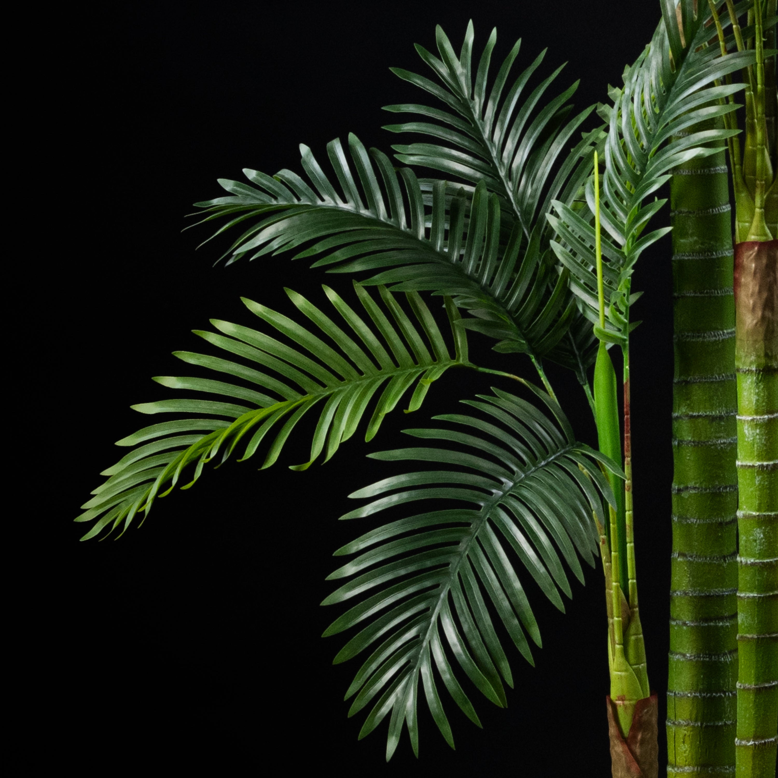 Palmier artificiel Adonidia Merrillii 210 cm — gros plan, qualité premium réaliste