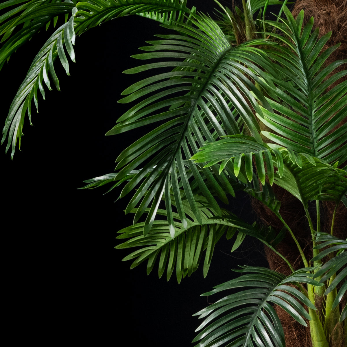Palmier artificiel Coco 4 troncs 240 cm Galan GA — déco intérieur réaliste sans entretien
