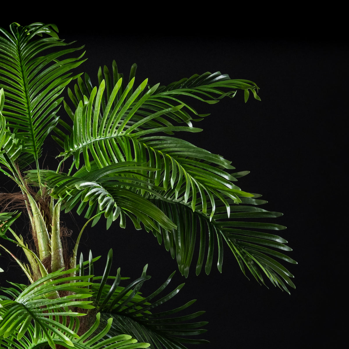 Palmier artificiel Coco 4 troncs 240 cm — gros plan, qualité premium réaliste