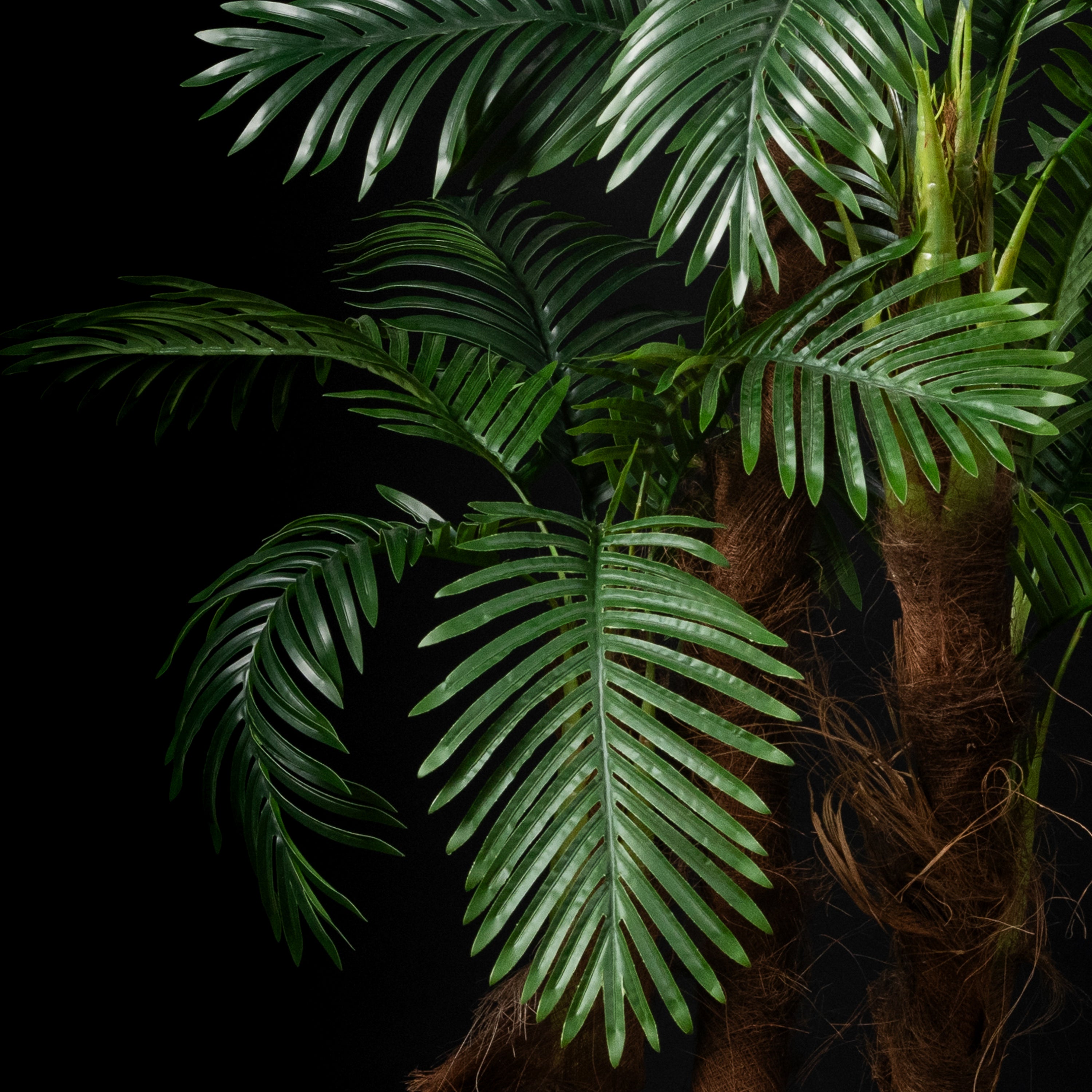 Palmier Coco 5 troncs — vue alternative, plante artificielle plante d&