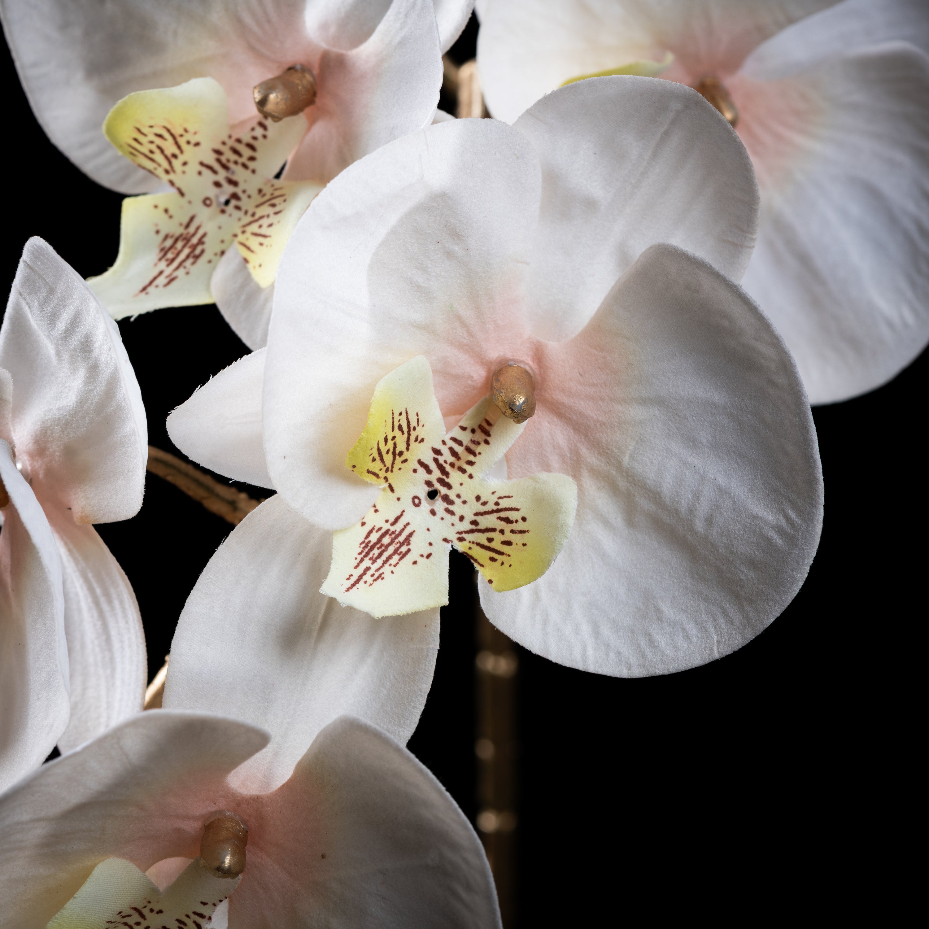 Orchidée artificielle Velours 95 cm — détail fleurs réaliste, sans entretien