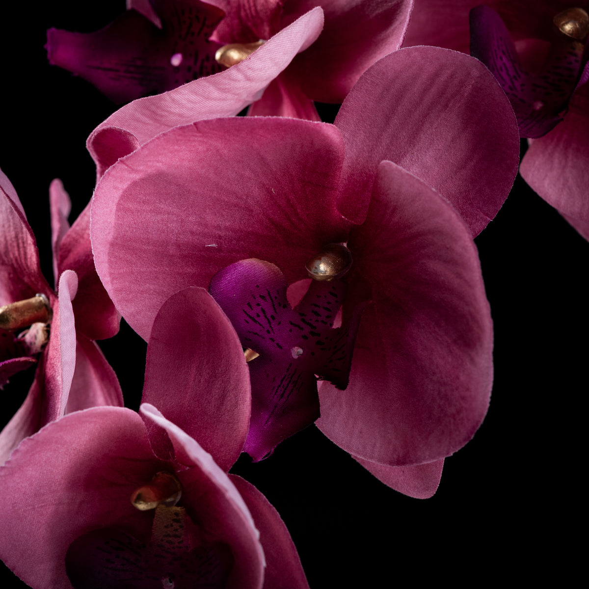 Orchidée artificielle Velours 95 cm — détail fleurs réaliste, sans entretien