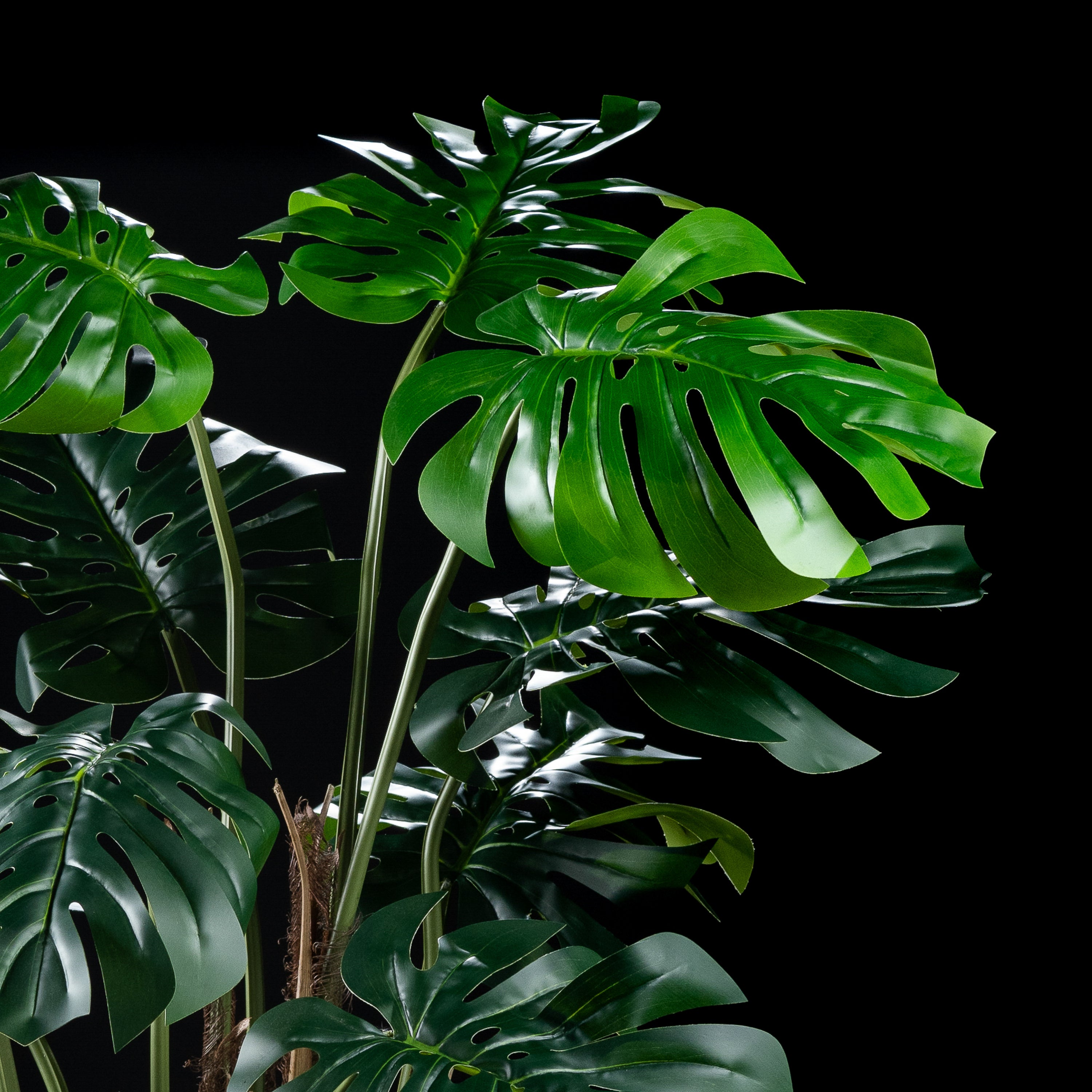 Plante artificielle Philodendron Monstera 150 cm Galan GA — déco intérieur réaliste sans entretien