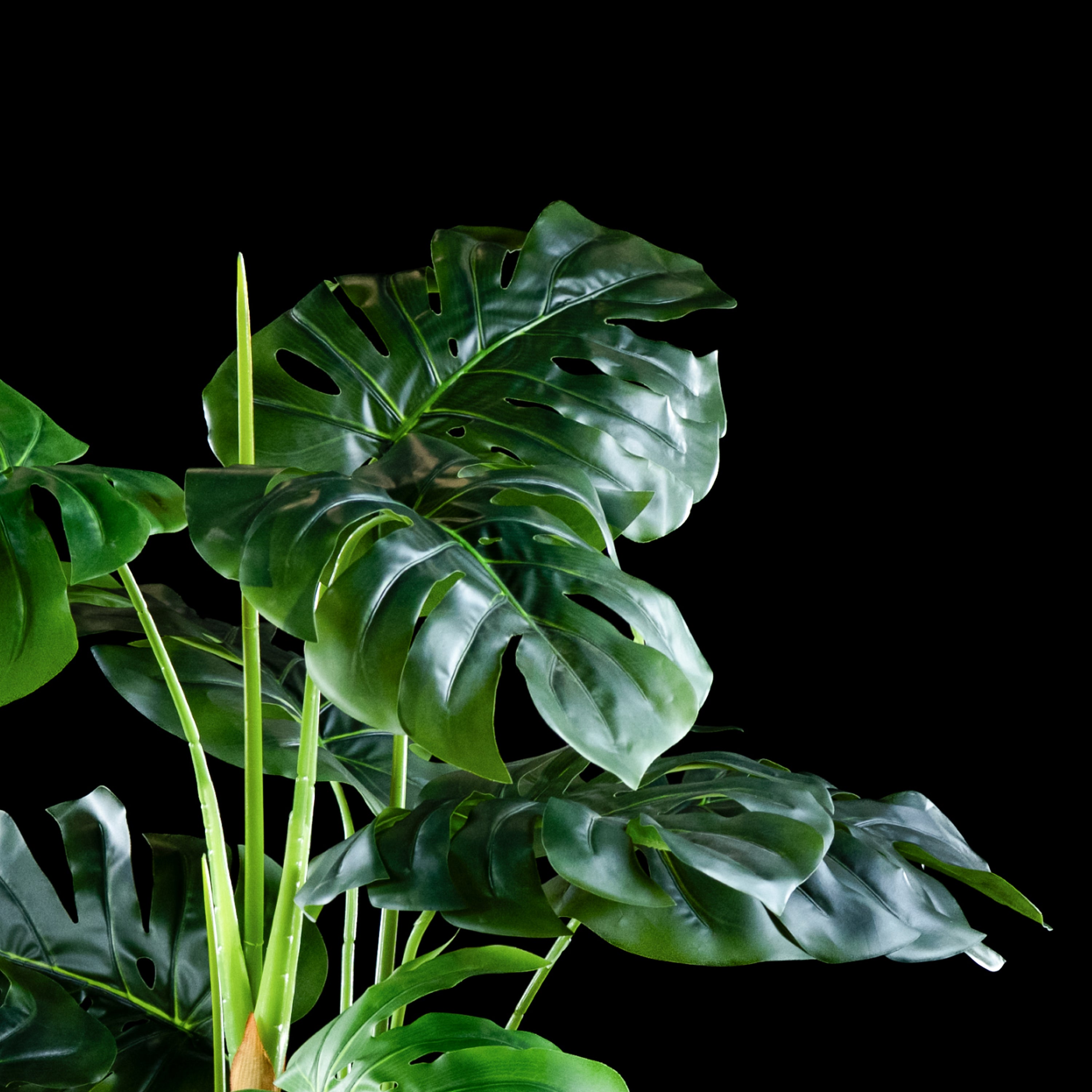 Cache-pot décoratif Plante Tropicale Philodendron 110 cm Galan GA — détail design contemporain