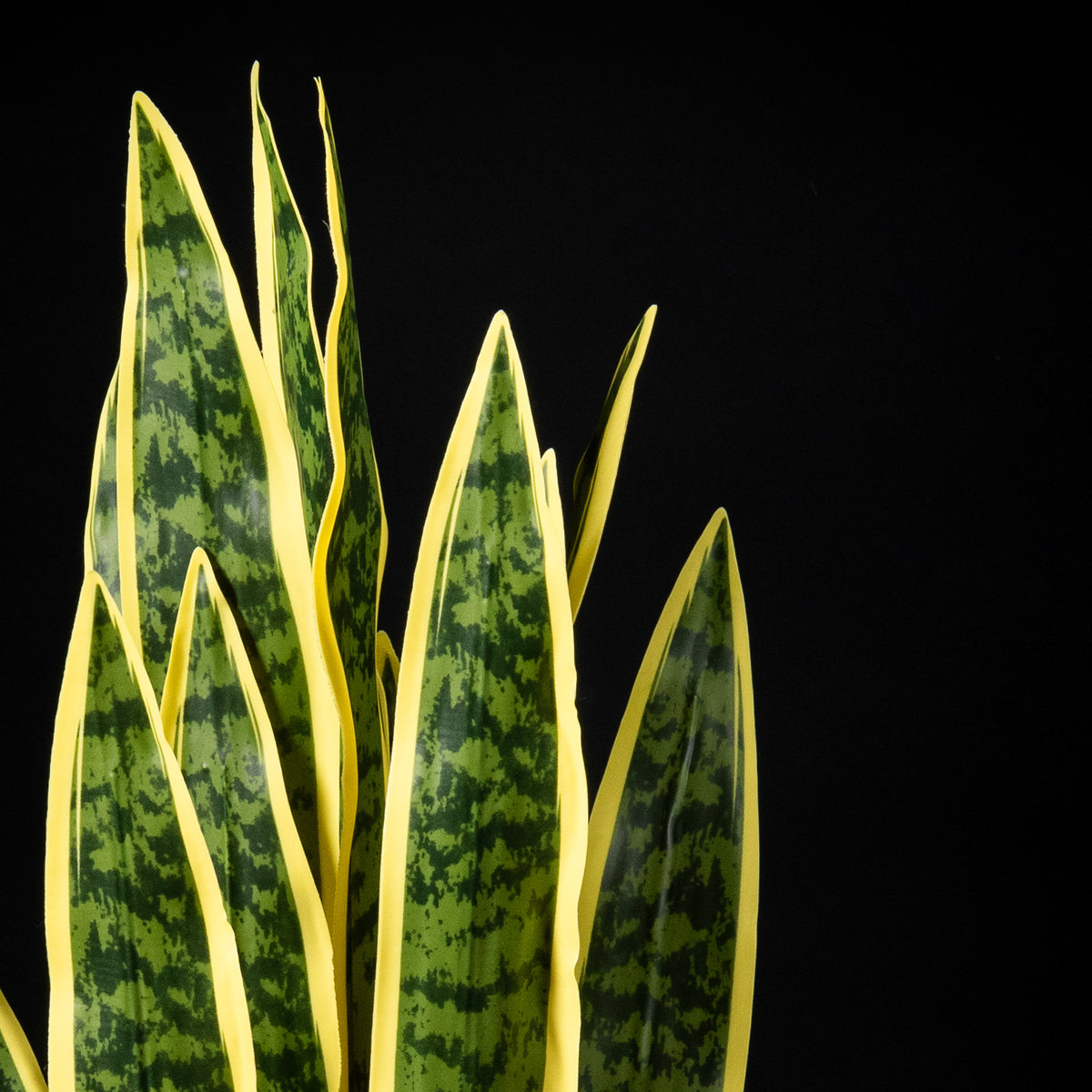 Plante artificielle Sanseveria 86 cm Galan GA — déco intérieur réaliste sans entretien