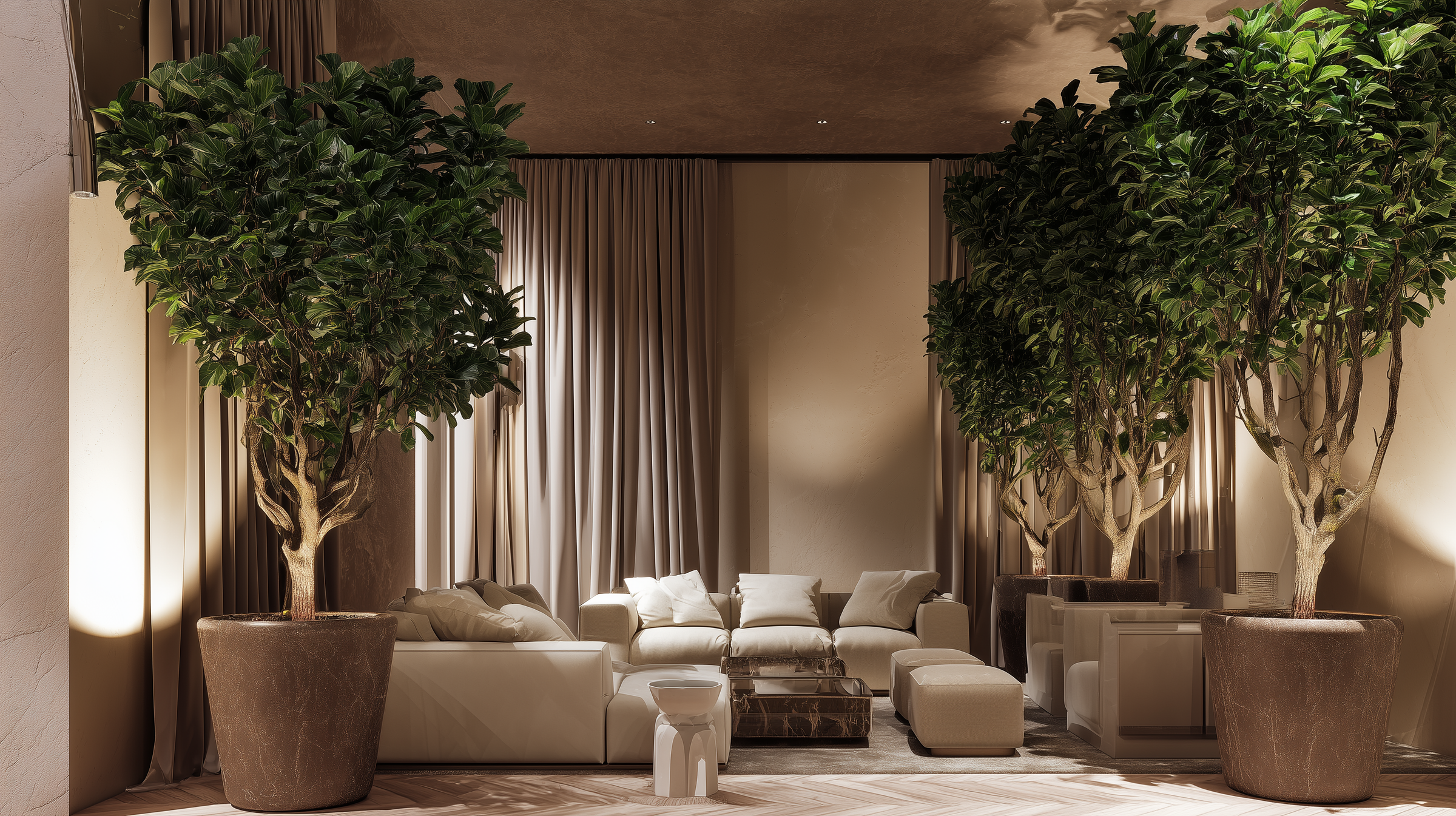 Ficus
