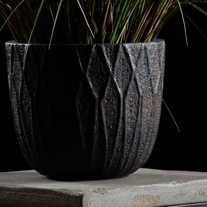 Graminée - Pennisetum