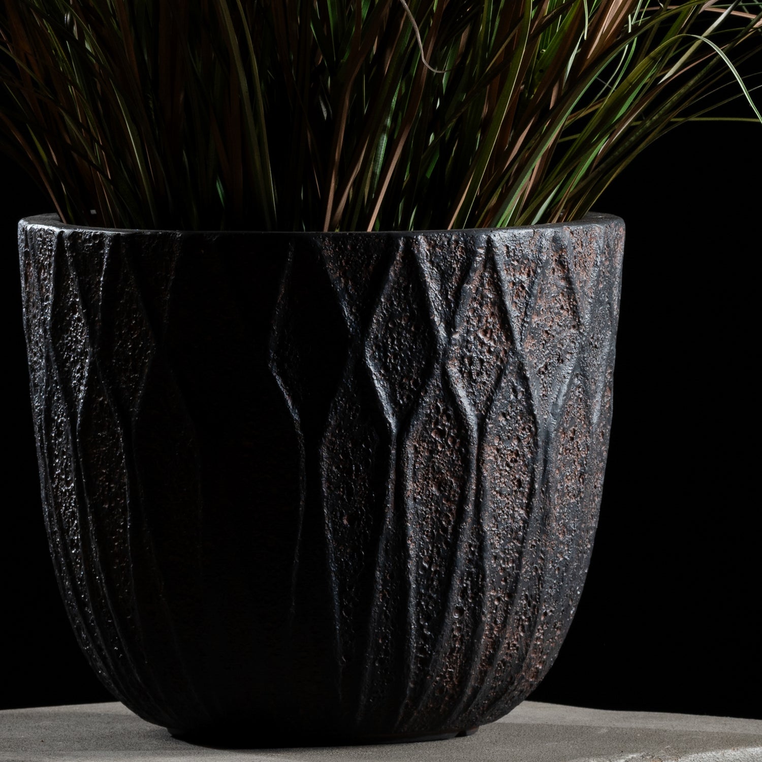 Graminée - Pennisetum