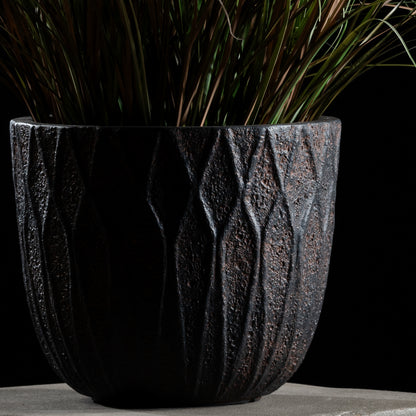 Graminée - Pennisetum