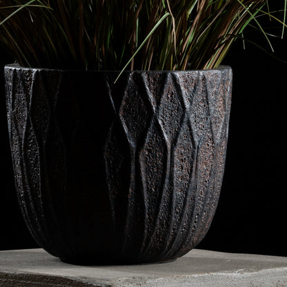 Graminée - Pennisetum