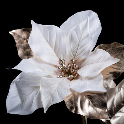 Poinsettia - Velours