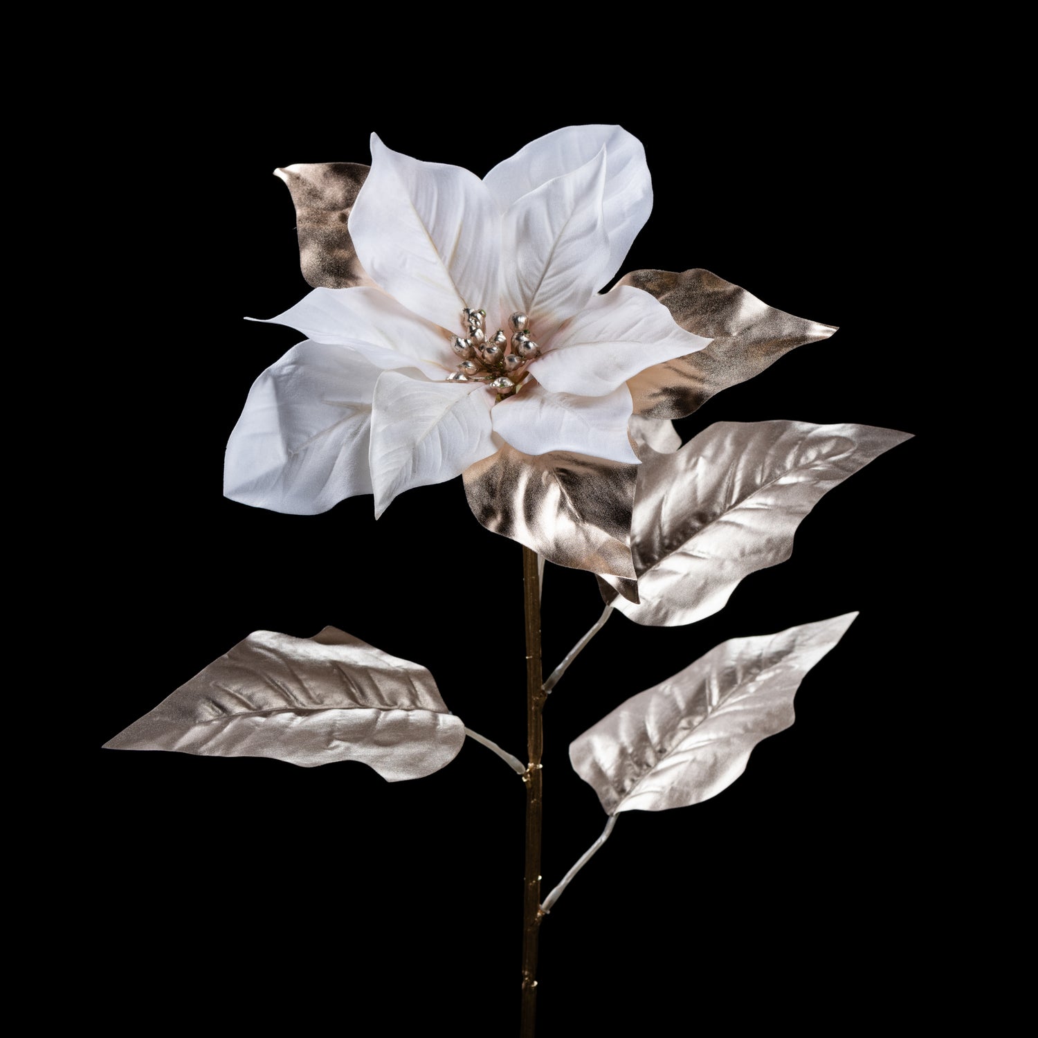 Poinsettia - Velours