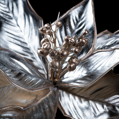 Poinsettia - Velours