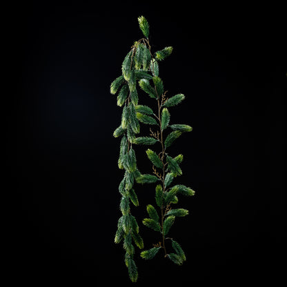 Sapin Nordmann - Guirlande