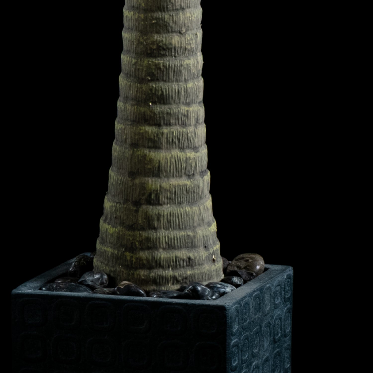 Dracaéna - Plante De Dragonnier