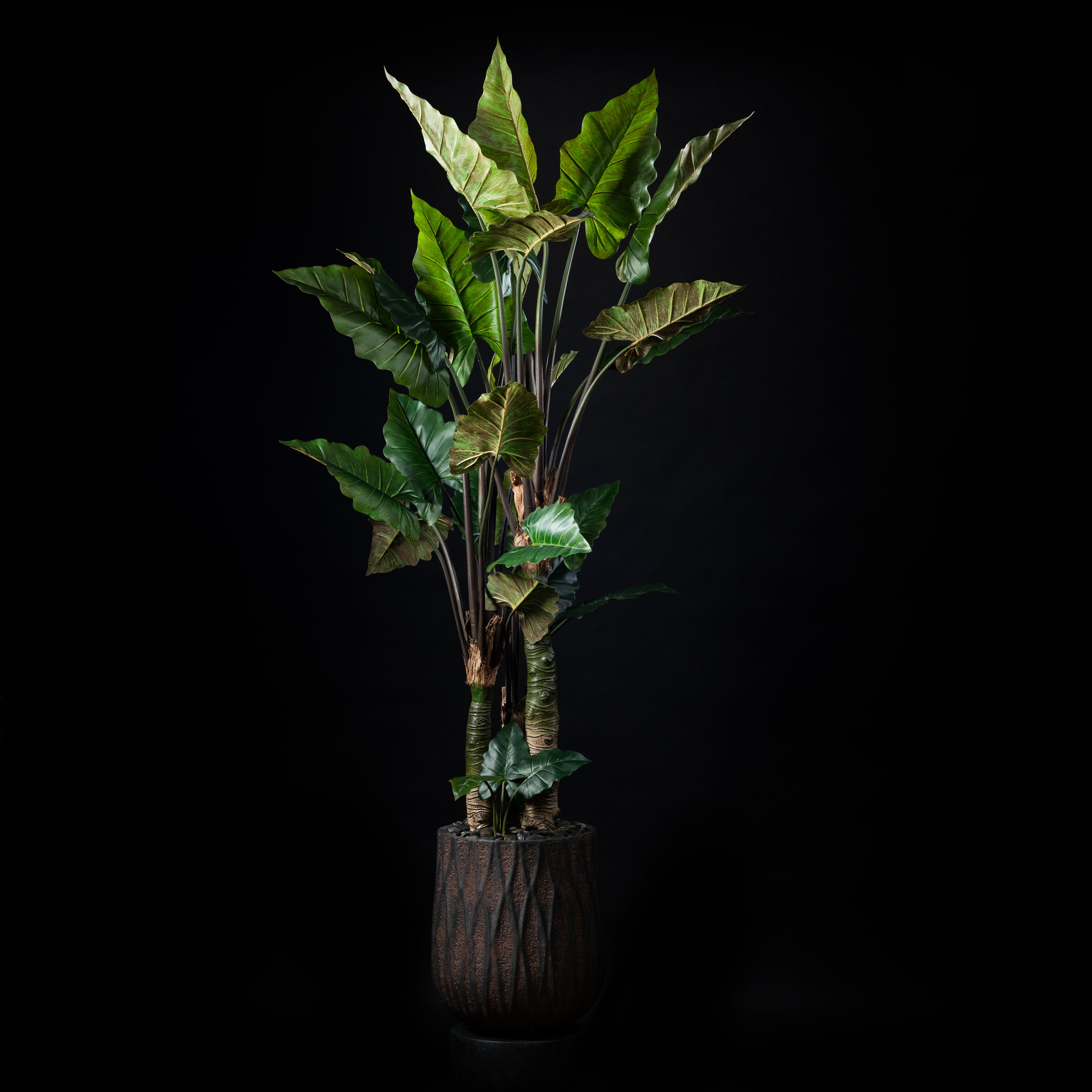 Plante artificielle Alocasia Zebrina 250 cm Galan GA — visuel produit, sans entretien pour intérieur