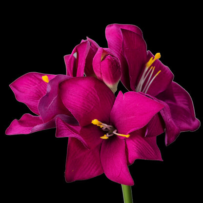 Amaryllis artificielle en velours pourpre 51 cm, fleurs ouvertes et bouton en haut de tige