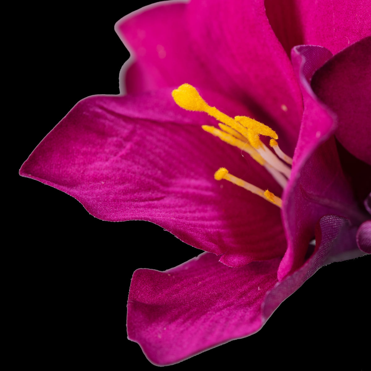 Amaryllis artificielle en velours pourpre 51 cm, gros plan sur une fleur et ses étamines jaunes