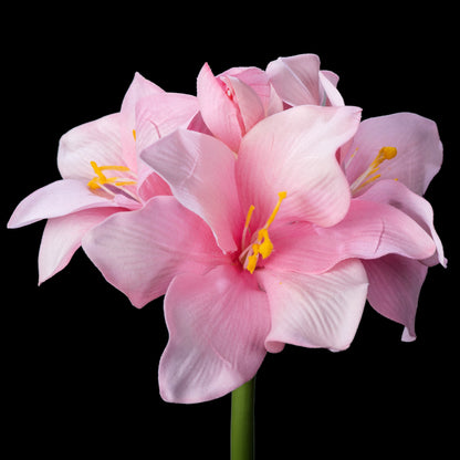 Amaryllis artificielle en velours rose 51 cm, tête de plusieurs fleurs sur tige verte