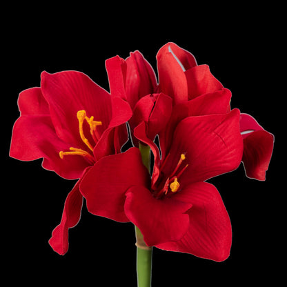 Amaryllis artificielle en velours rouge 51 cm, fleurs en trompette au bout de la tige