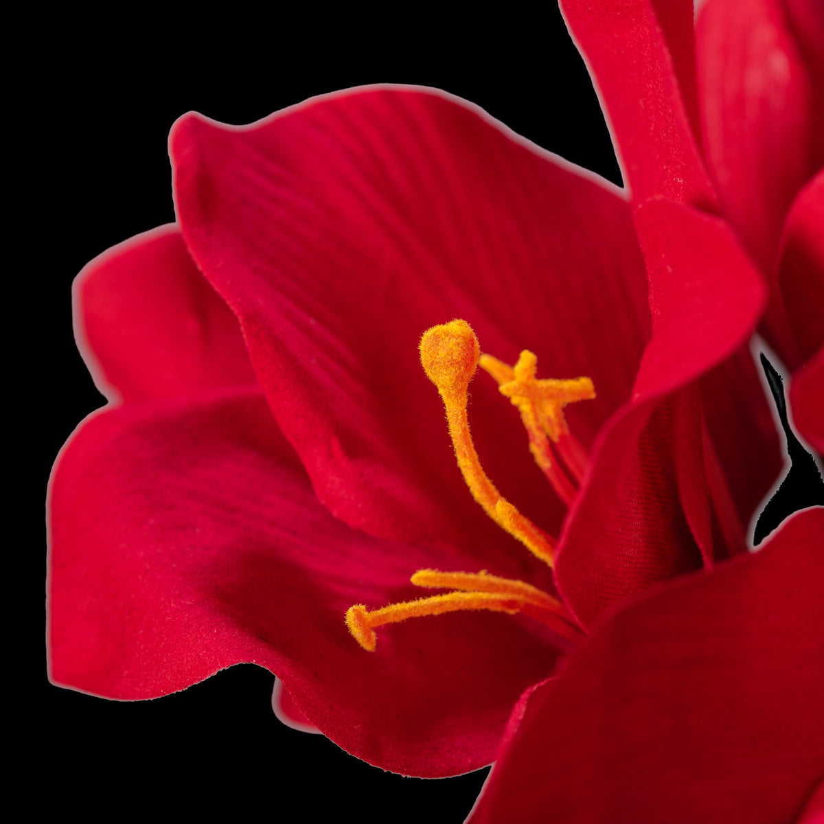 Amaryllis artificielle en velours rouge 51 cm, gros plan sur une fleur et ses étamines orangées