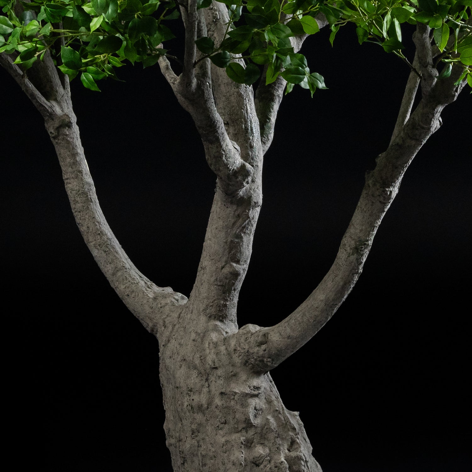Arbre japonais artificiel Ficus 280 cm — détail feuillage réaliste, sans entretien