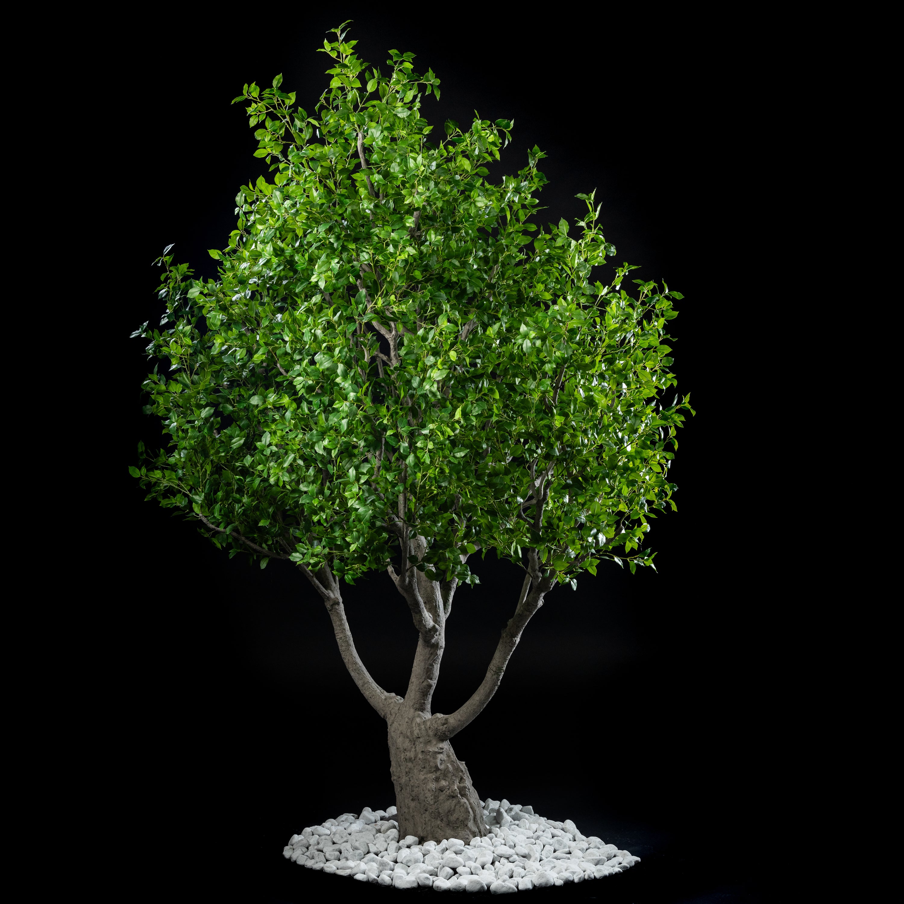 Arbre japonais artificiel Ficus 280 cm — visuel produit, sans entretien pour intérieur